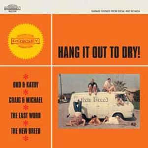 V.A. - Hang It Out To Dry ( rare garage songs) - Klik op de afbeelding om het venster te sluiten